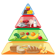  Free Breakfast & Lunch Application